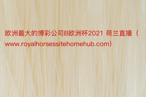 欧洲最大的博彩公司B欧洲杯2021 荷兰直播（www.royalhorsessitehomehub.com）